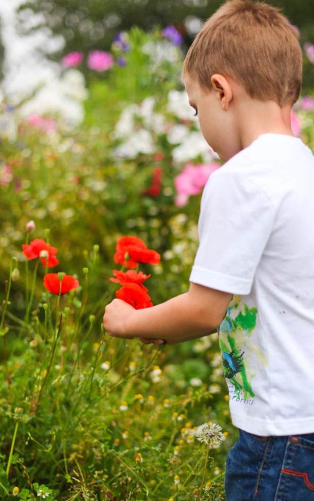 Henry absorbed in picking some wild flowers.