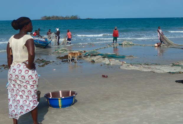Women wait to sort the fish as the men bring in the catch
