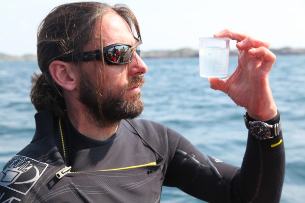Shane checks the water. Looking for the Basking Shark's food source helps you find where the shark are most likely to be.