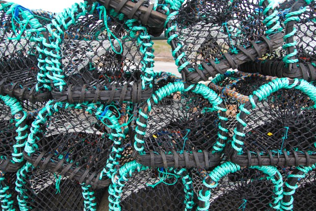 Colourful lobster pots by the Iona ferry port on the Isle of Mull