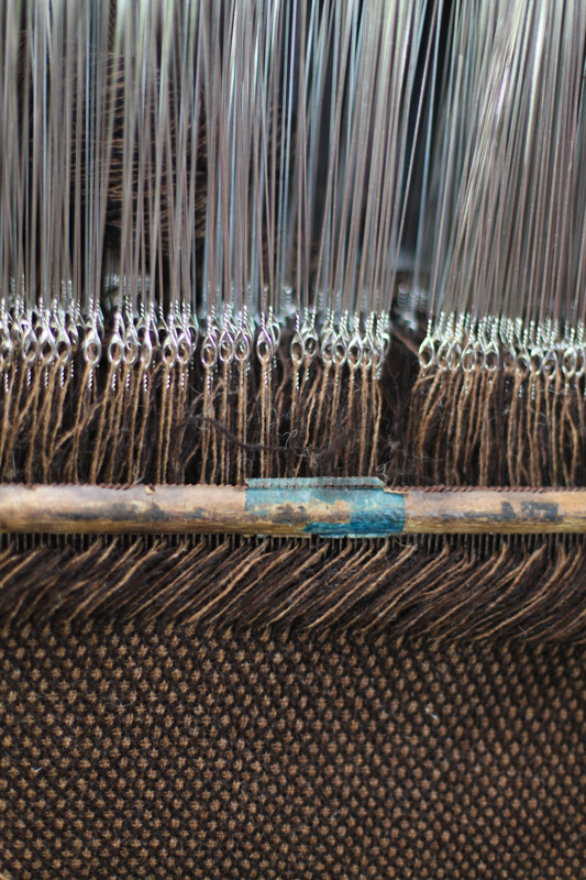 mullday3watermarked (23 of 52)