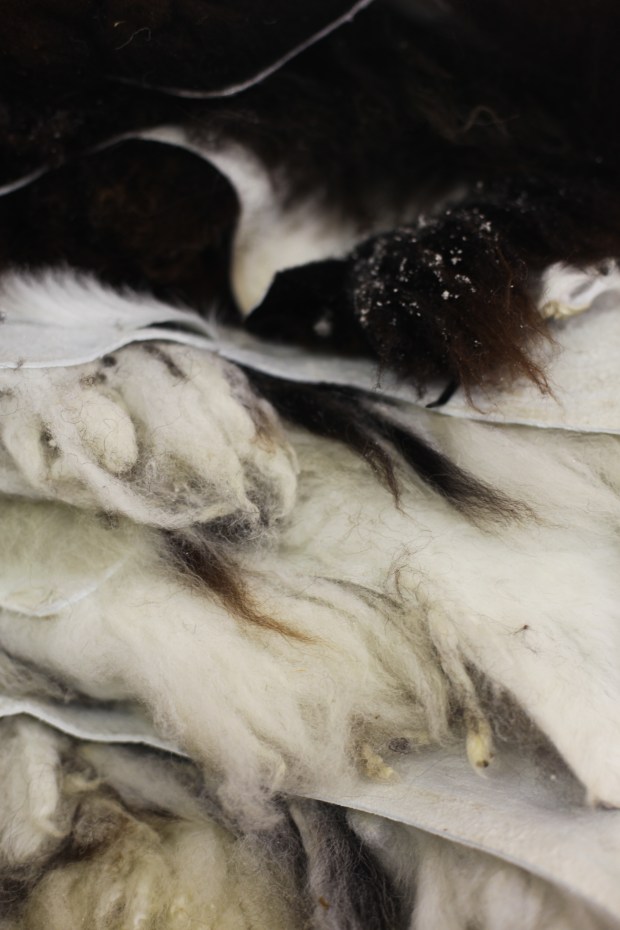 skyegamesandskyns (14 of 34)