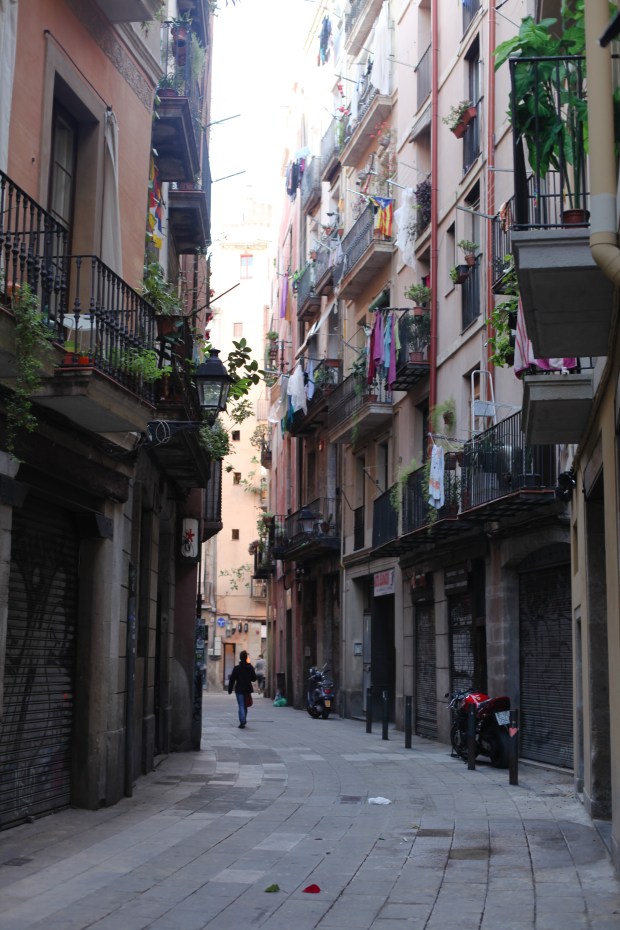 I love all the details - people's laundry hanging out of windows, small plants and flowers on window ledges.... beautiful.