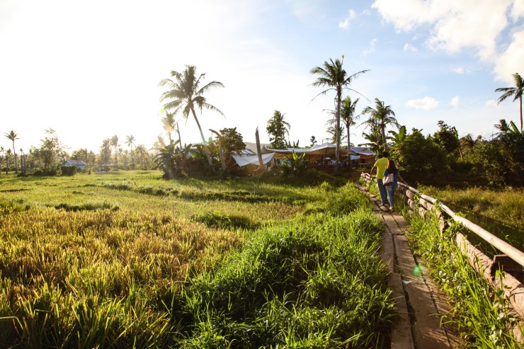 5pm in Giporlos, The Philippines. Golden Hour creates an almost 3D feel to images and shadows are long. Beautiful!
