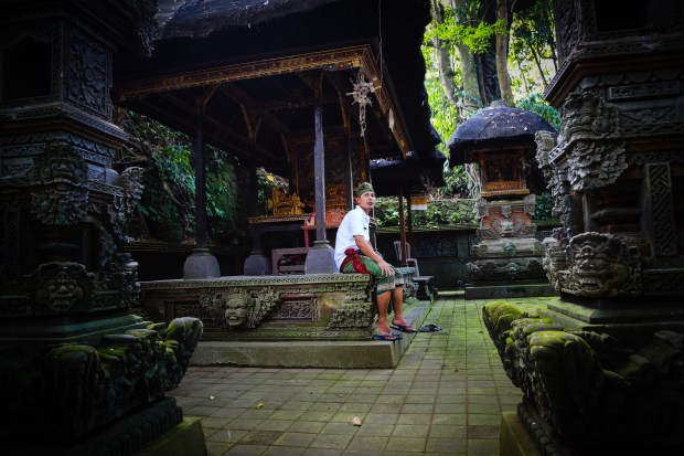 Young priest sits in the Pura Beji temple as the light seeks a pathway through the trees hanging overhead.