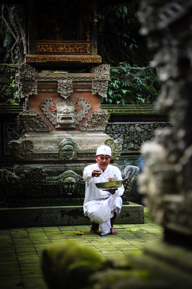 Priest preparing the Pura Beji Temple within the Monkey Forest in Ubud.
