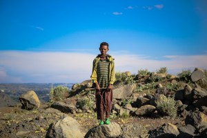 Shepherd boys watches me watching him.