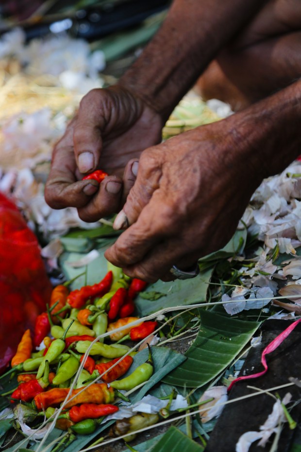 lauracookbali (1 of 1)