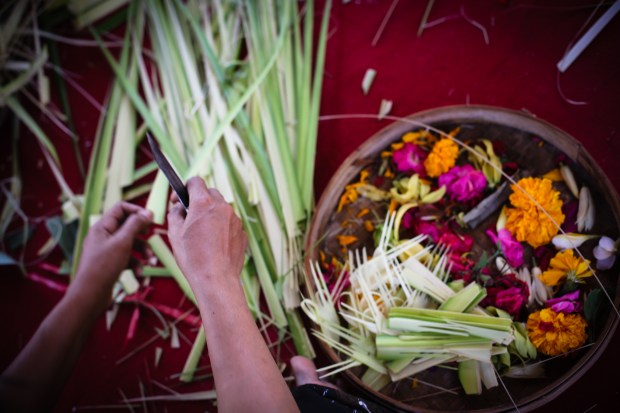 lauracookbali (10 of 15)