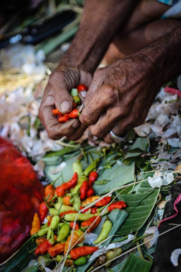 foodphoto2015sm (2 of 7)