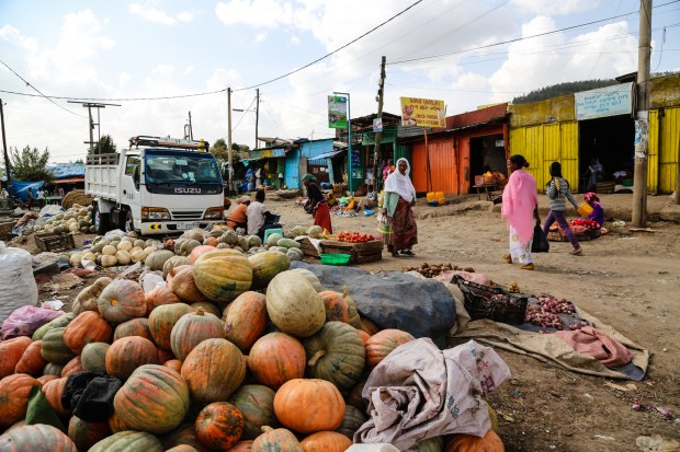 tempslaura (1 of 1)-3