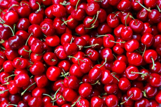 cherries (1 of 1)